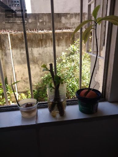 Apartamento, 3 quartos, 90 m² - Foto 9
