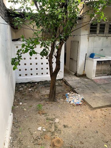 Casa, 3 quartos, 237 m² - Foto 18