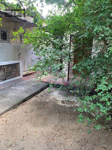 Casa, 3 quartos, 237 m² - Foto 13