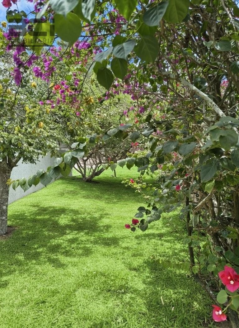 Casa de Condomínio, 6 quartos - Foto 19