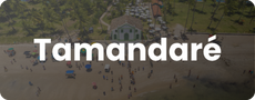 Tamandaré