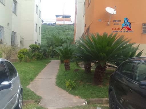 Entrada do bloco 09. Paisagismo