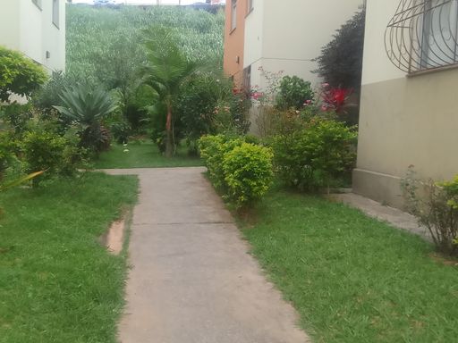 Entrada do bloco 09. Paisagismo