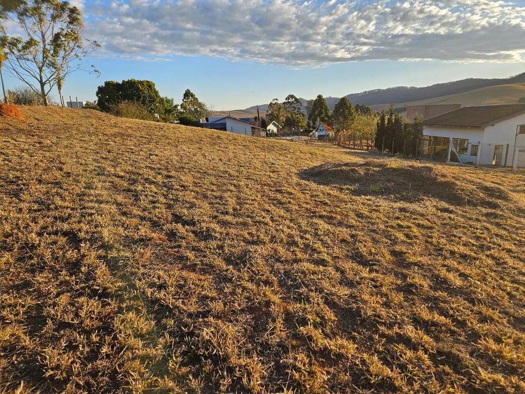 Terreno, 2000 m² - Foto 2
