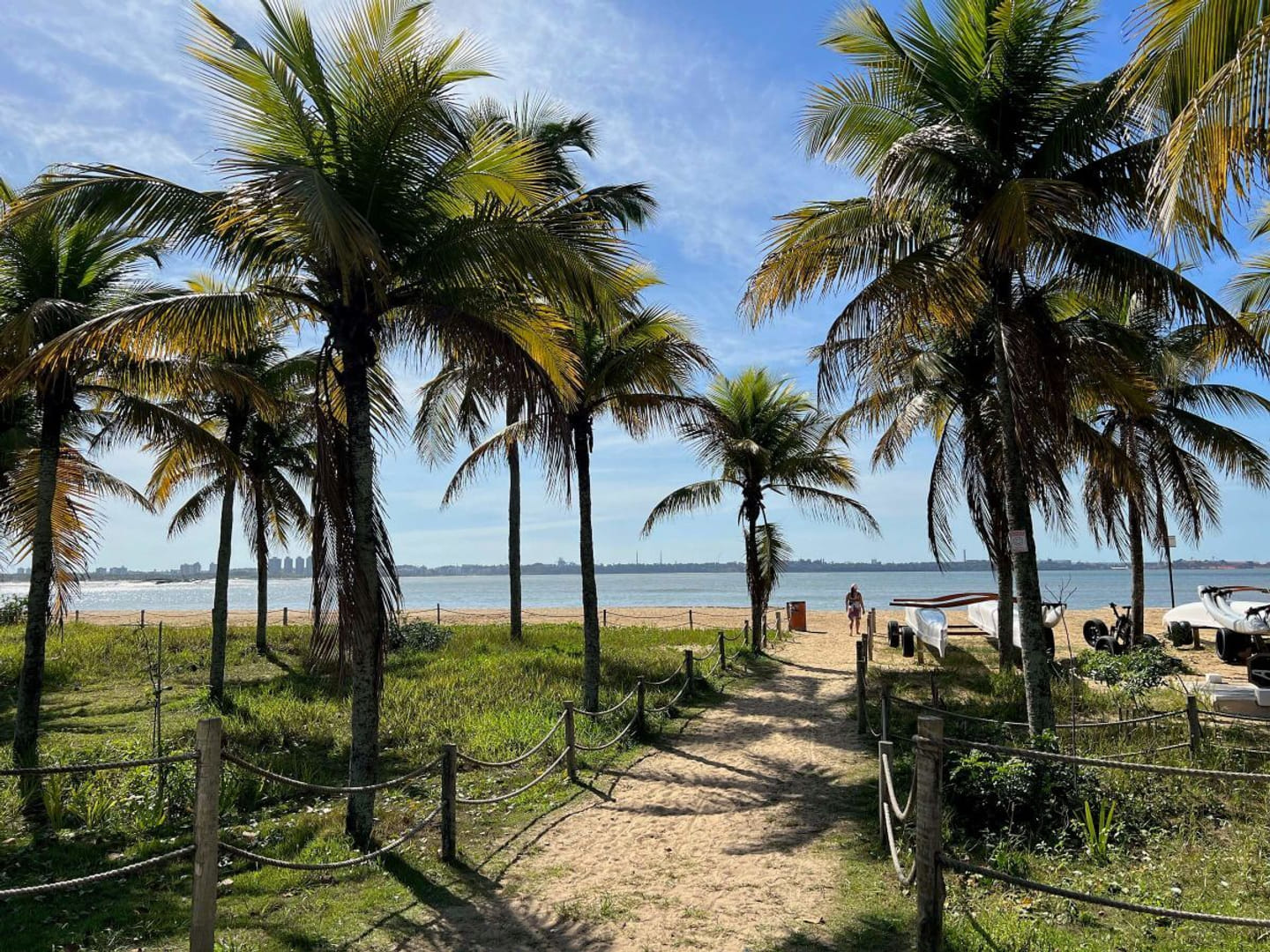 Praia de águas calmas e coqueiros na orla de Vitória-ES