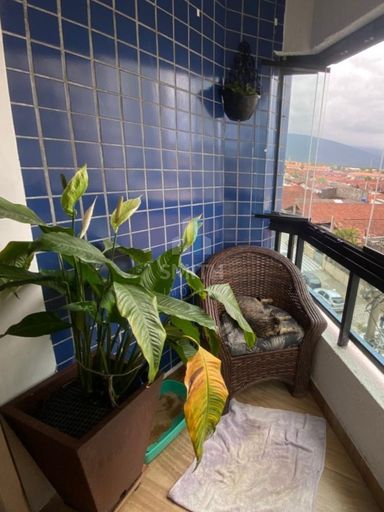 Foto 21