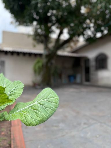 Quintal a poucos metros da praia em Jardim Camburi