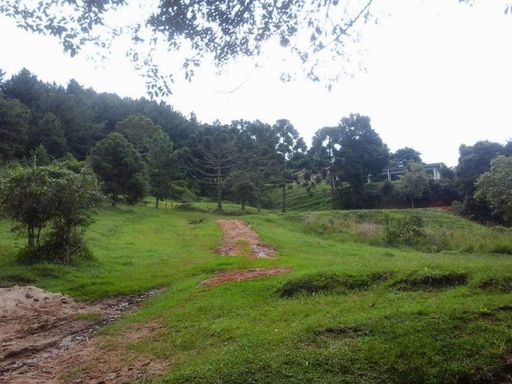 Cachoeira da Estiva - Fazenda à Venda em Carvalhos–MG