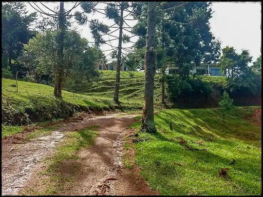 Cachoeira da Estiva - Fazenda à Venda em Carvalhos–MG