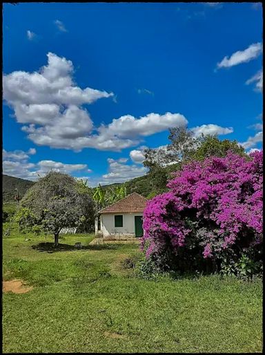 Cachoeira da Estiva - Fazenda à Venda em Carvalhos–MG