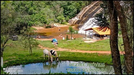 Cachoeira da Estiva - Fazenda à Venda em Carvalhos–MG