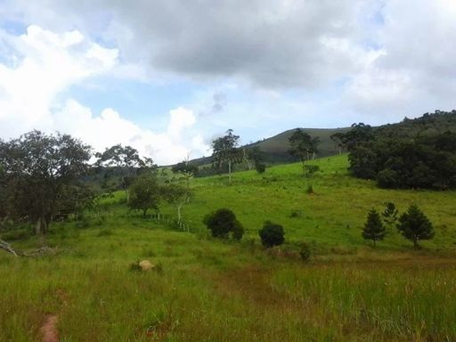 Cachoeira da Estiva - Fazenda à Venda em Carvalhos–MG
