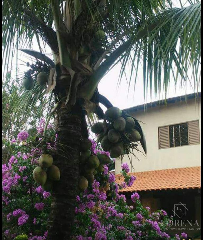 Fazenda / Sítio / Chácara com 3 quartos à venda, 1600m² — foto 8 de 28
