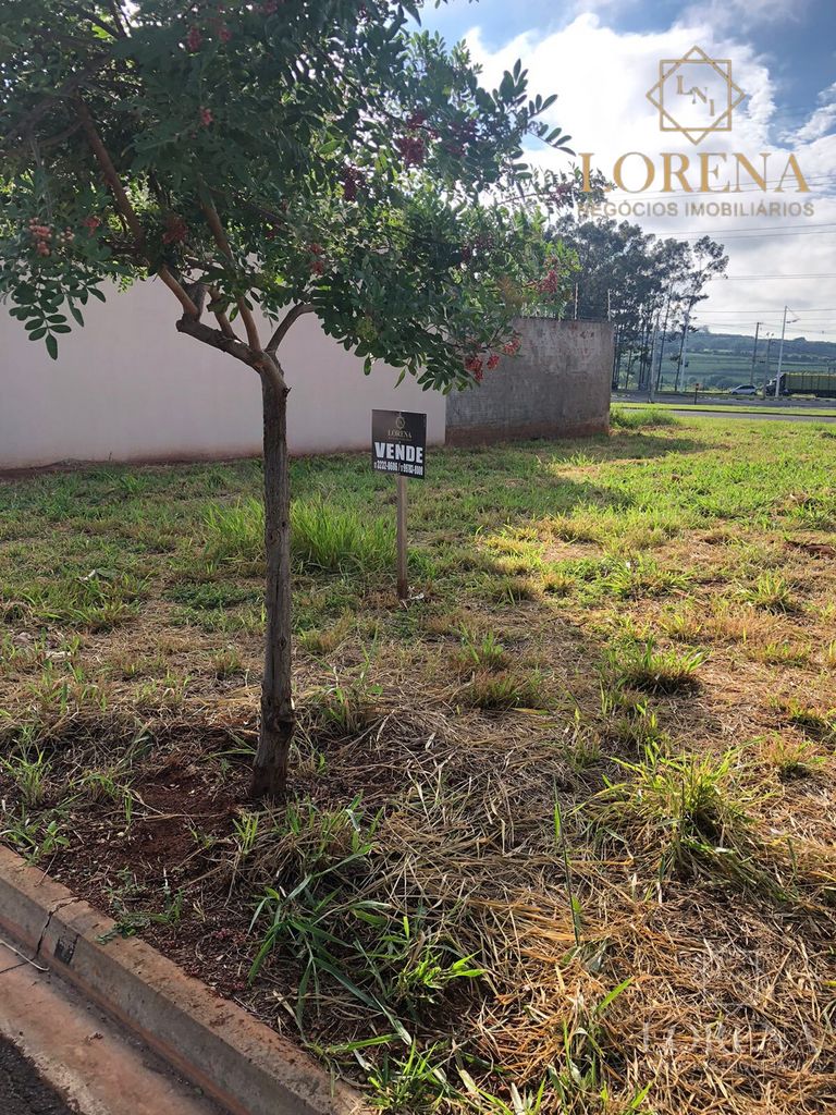 Terreno / Lote / Condomínio  à venda, 200m² — foto 3 de 4