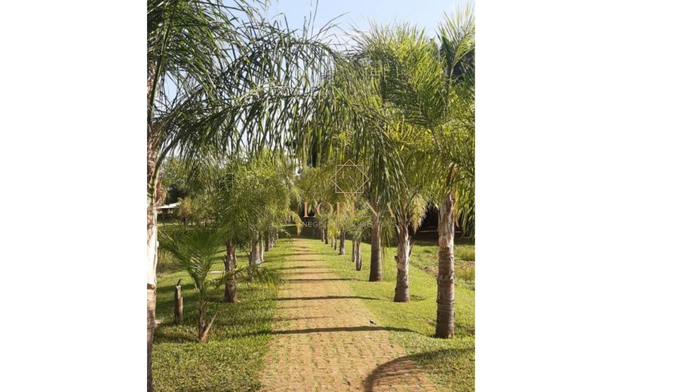 Fazenda / Sítio / Chácara com 3 quartos à venda, 1000m² — foto 27 de 32