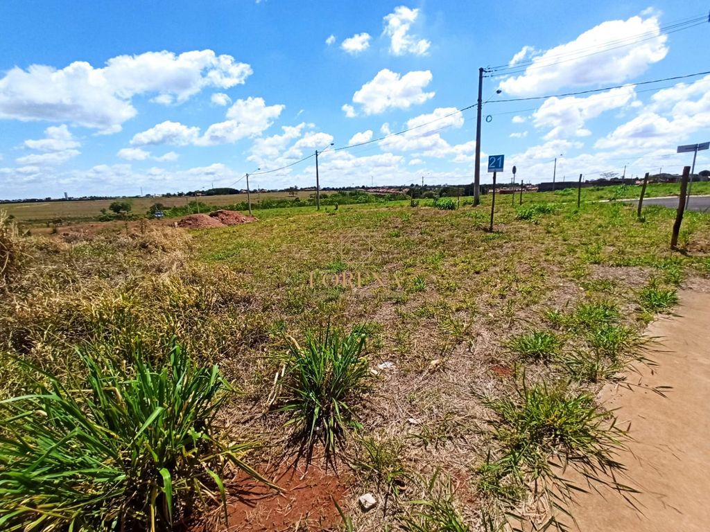 Terreno / Lote / Condomínio  à venda, 244m² — foto 9 de 12