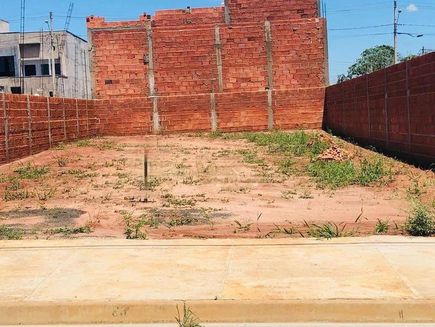 Aranha Oliveira - Santa Barbara D'Oeste