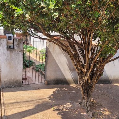 Vila Bertini - Americana