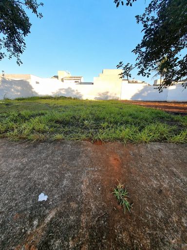 Mollon - Santa Barbara d'Oeste
