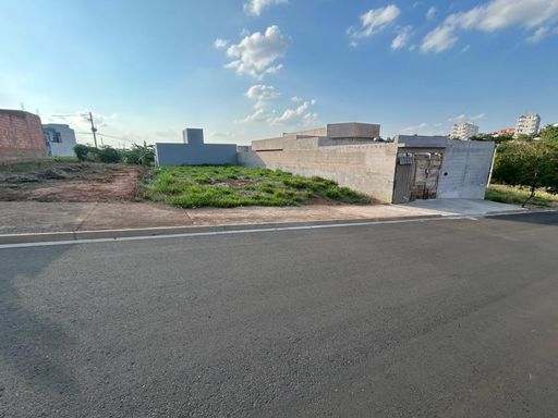 Aranha Oliveira - Santa Baebara d'Oeste