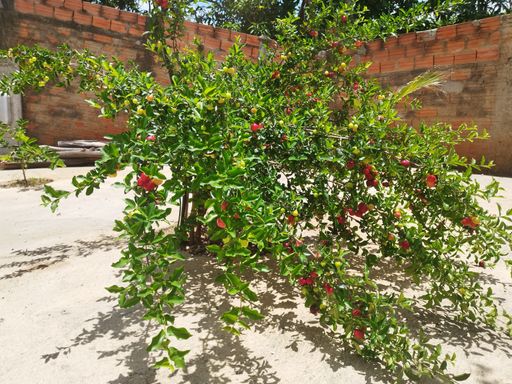 Área Externa - Chácaras Beira Rio - Santa Barbara D'Oeste