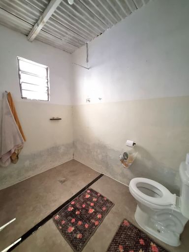 Nova Americana - Americana