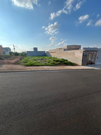 Aranha Oliveira - Santa Baebara d'Oeste