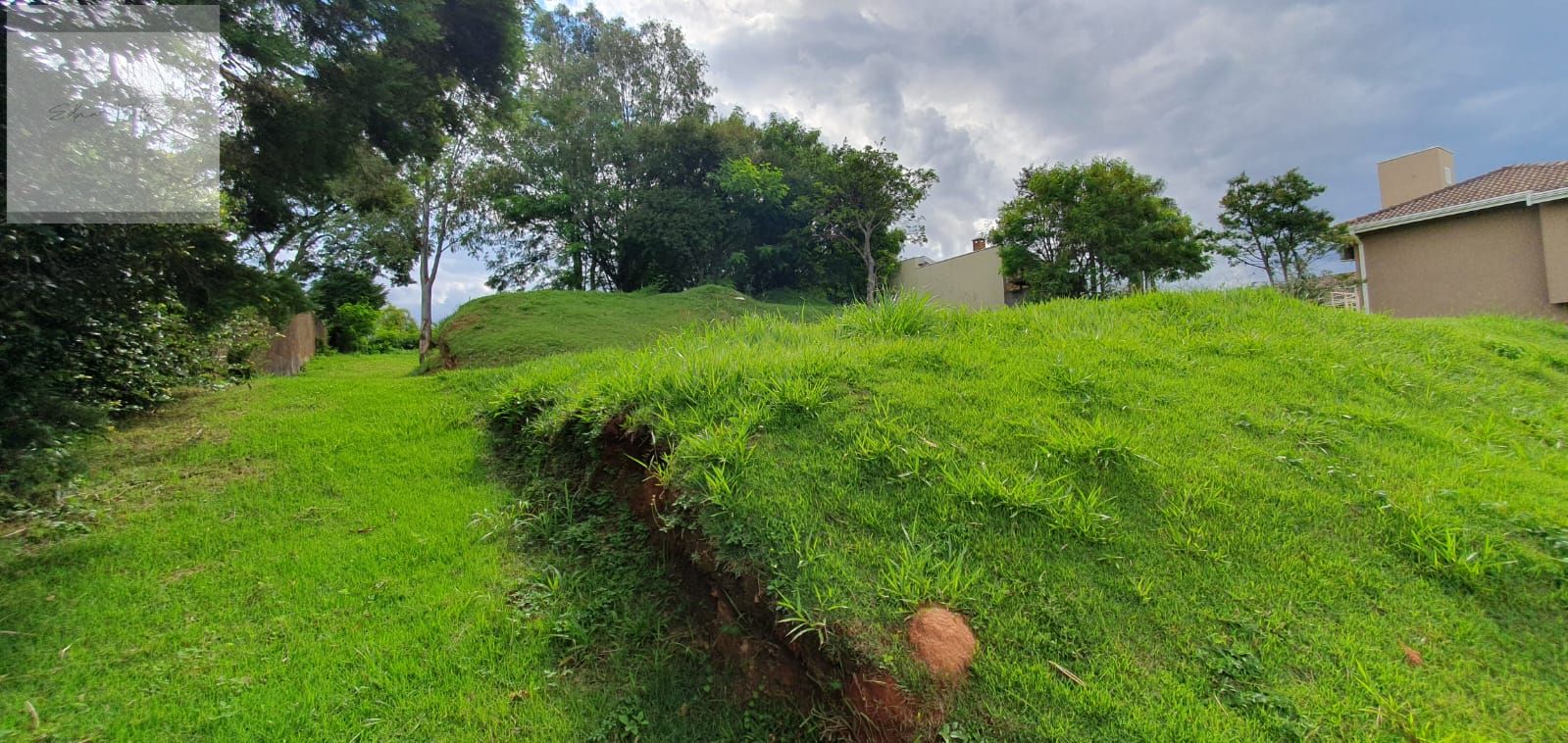 Jardim Botânico à venda