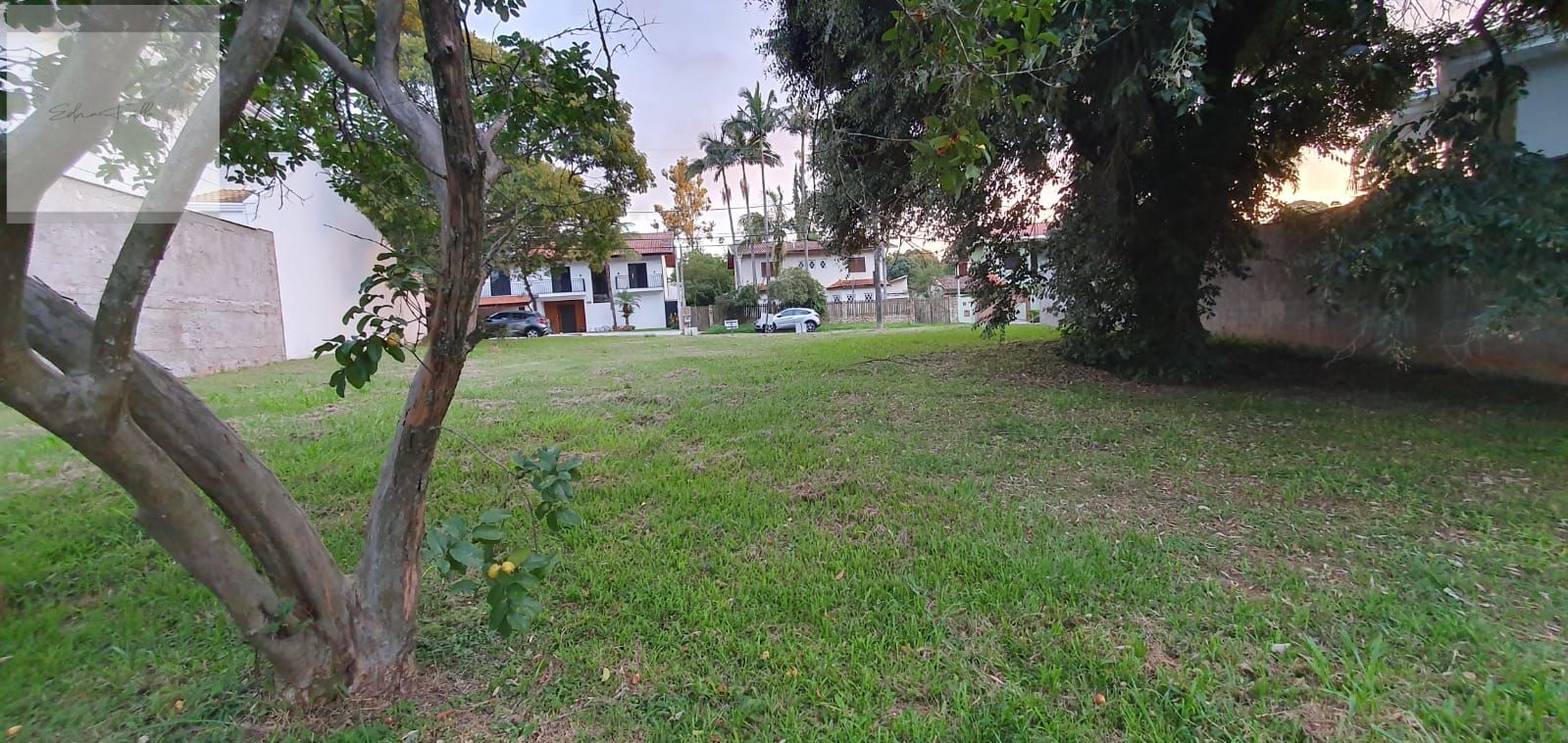 Jardim Botânico