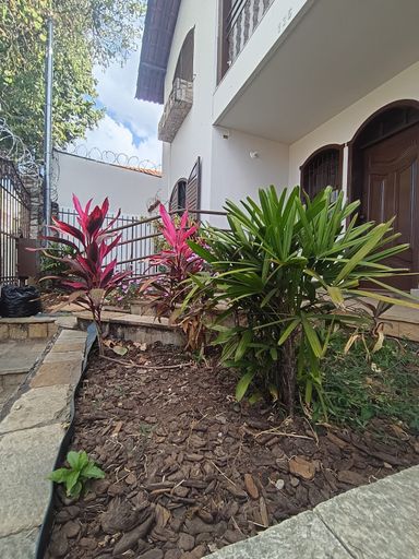 Jardim