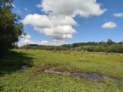 Área de Pasto Plano