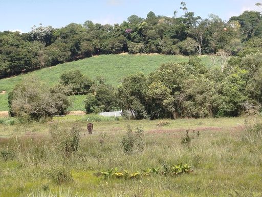 área Para cultivo e plantio