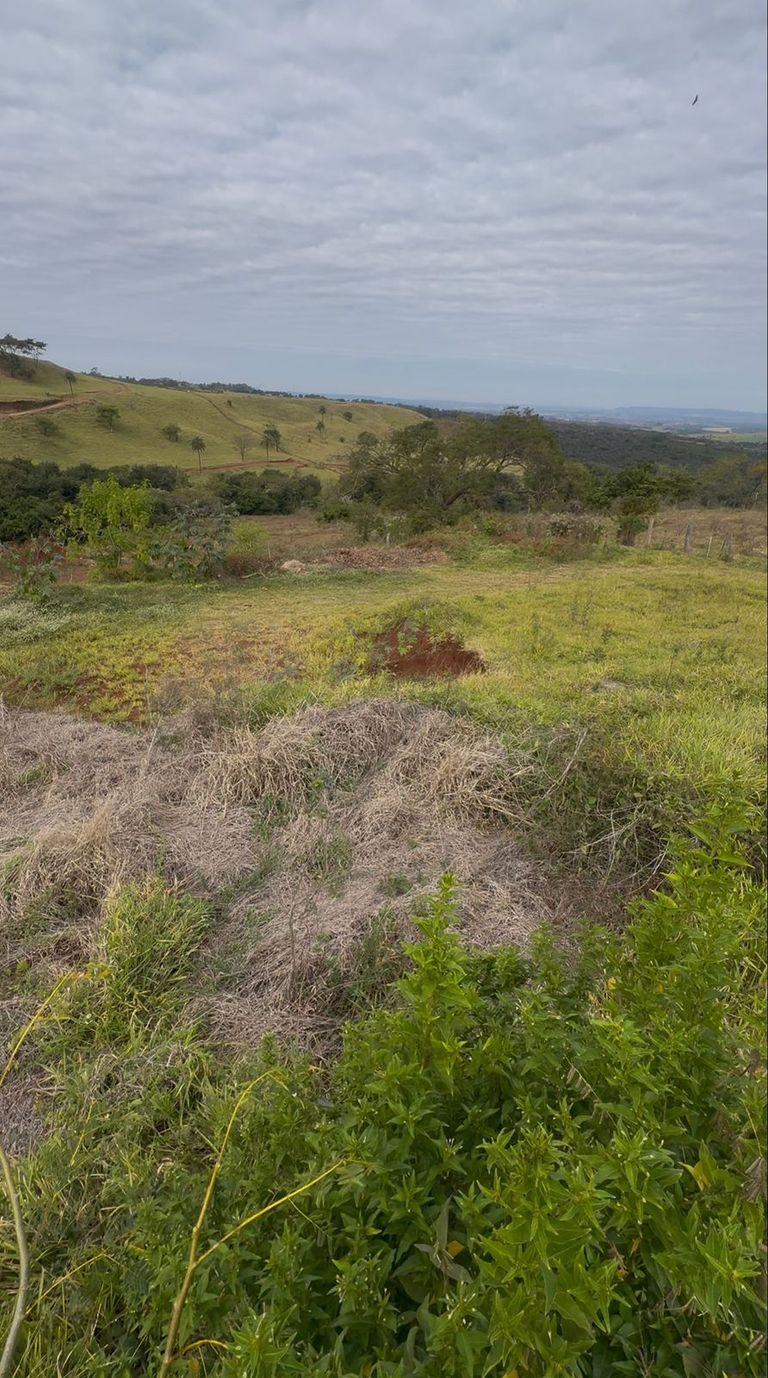 Terreno à venda - Vila Hípica,Franca 
