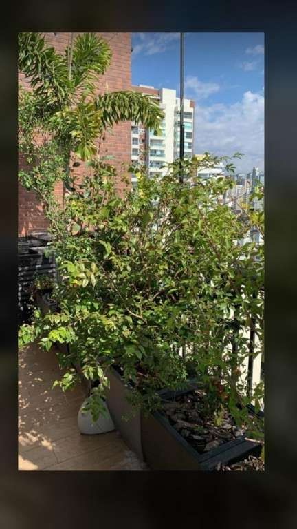  - Apartamento à Venda em Bela Vista, São Paulo - SP