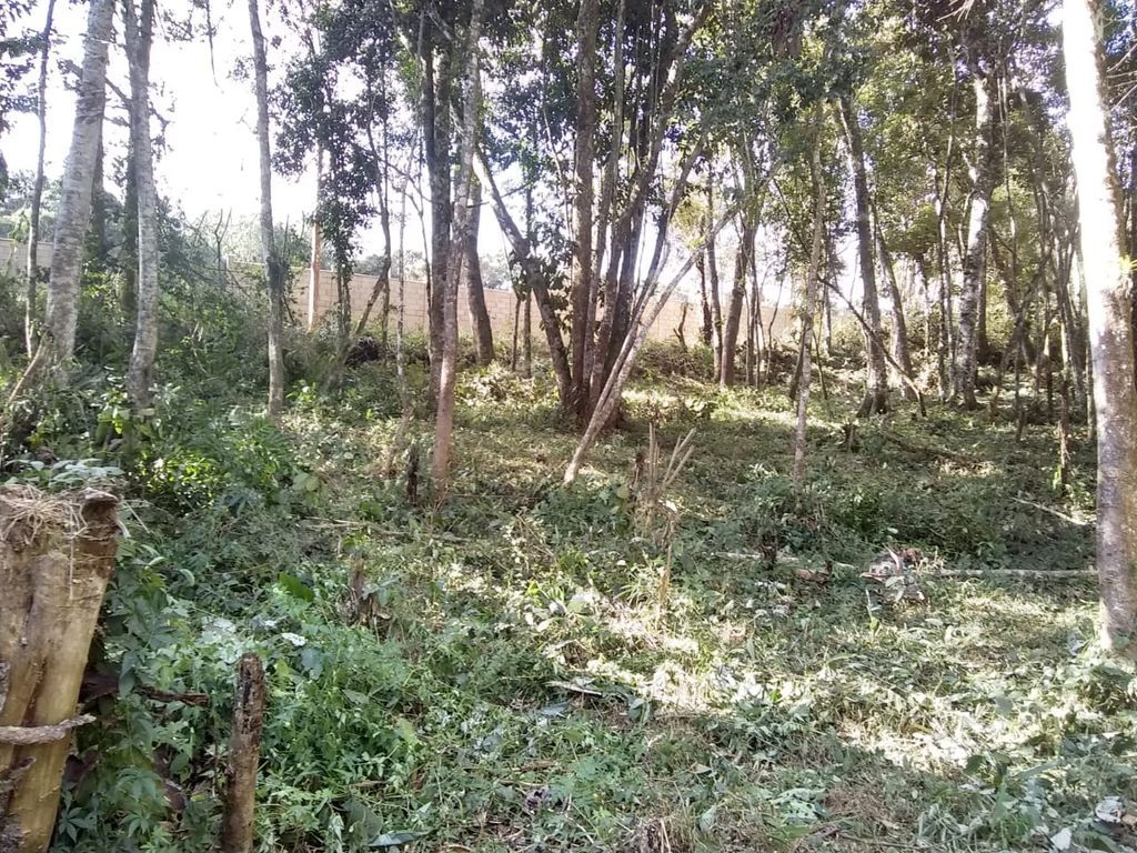  - Terreno à Venda em Caputera, Cotia - SP