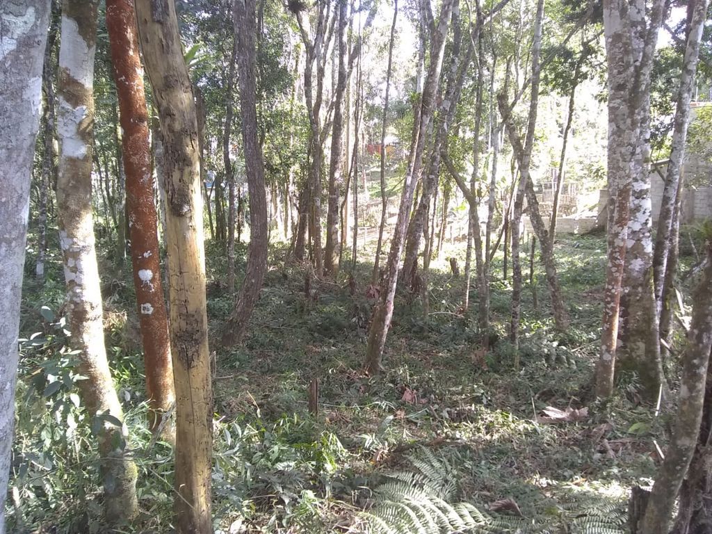  - Terreno à Venda em Caputera, Cotia - SP