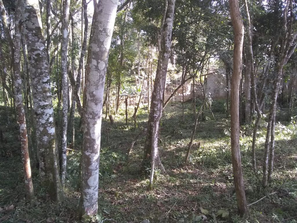 Terreno à Venda em Caputera, Cotia - SP - Zbroker Imóveis