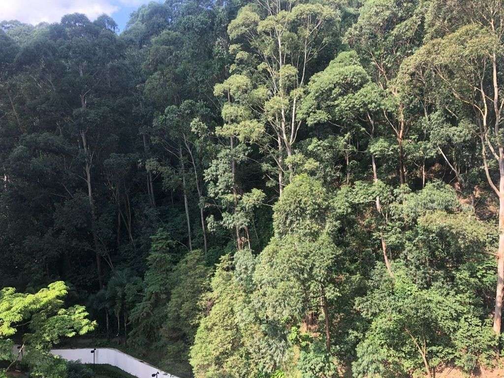 Apartamento à venda com 2 quartos, 96m² - Vila Andrade,São Paulo 