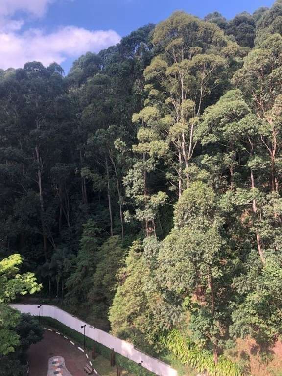  - Apartamento à Venda em Vila Andrade, São Paulo - SP