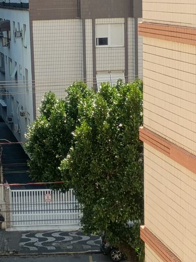 VISTA DA RUA PELA ÁREA DE SERVIÇO