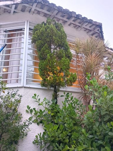 FRENTE DA CASA