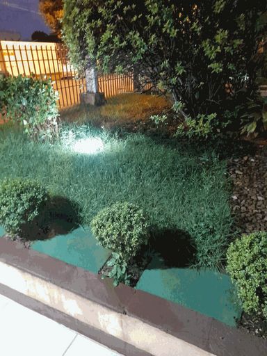 Jardim prédio