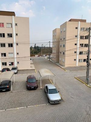 Vista