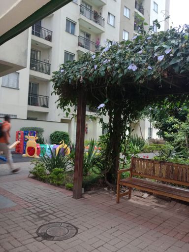 Jardim
