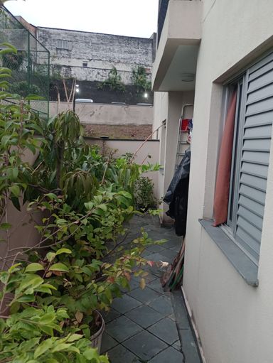 Quintal / jardim