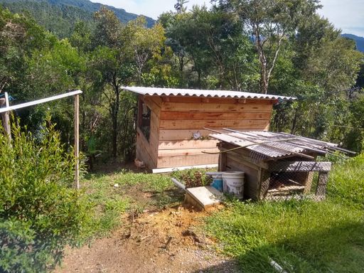 GALINHEIRO