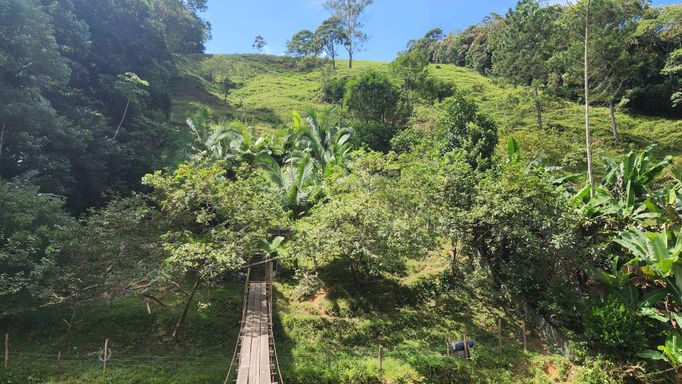 PONTE POMAR E PASTAGEM NOS FUNDOS