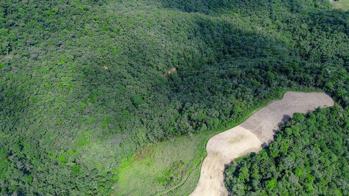 Mata e área aberta vistas do drone
