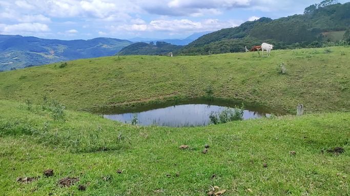 MAIS UM ACUDE E PASTAGEM