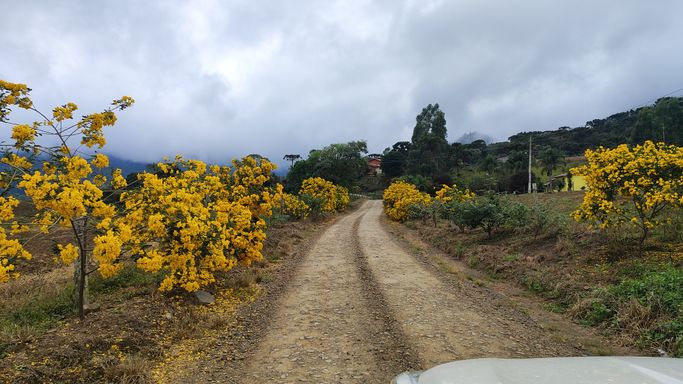 CAMINHO DO  SITIO COM LINDAS FLORES
